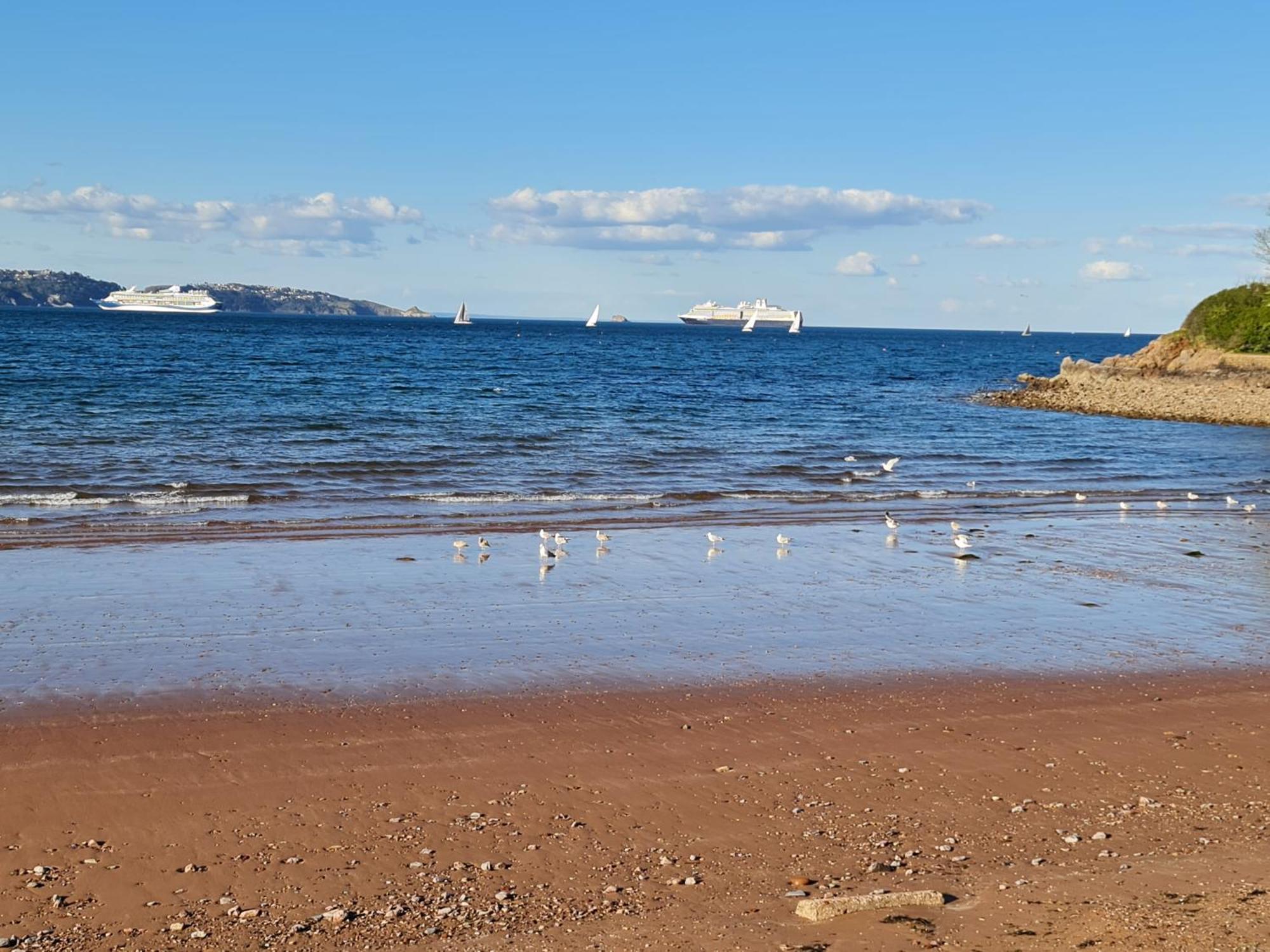 Seaspot Is A 1 Bed Annex Ground Floor Apartment At Stunning Broadsands Beach Nr Brixham! 처스턴페러스 외부 사진